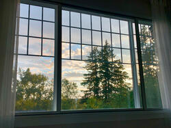 Primary suite view from bed trees, sky, and a serene open view
